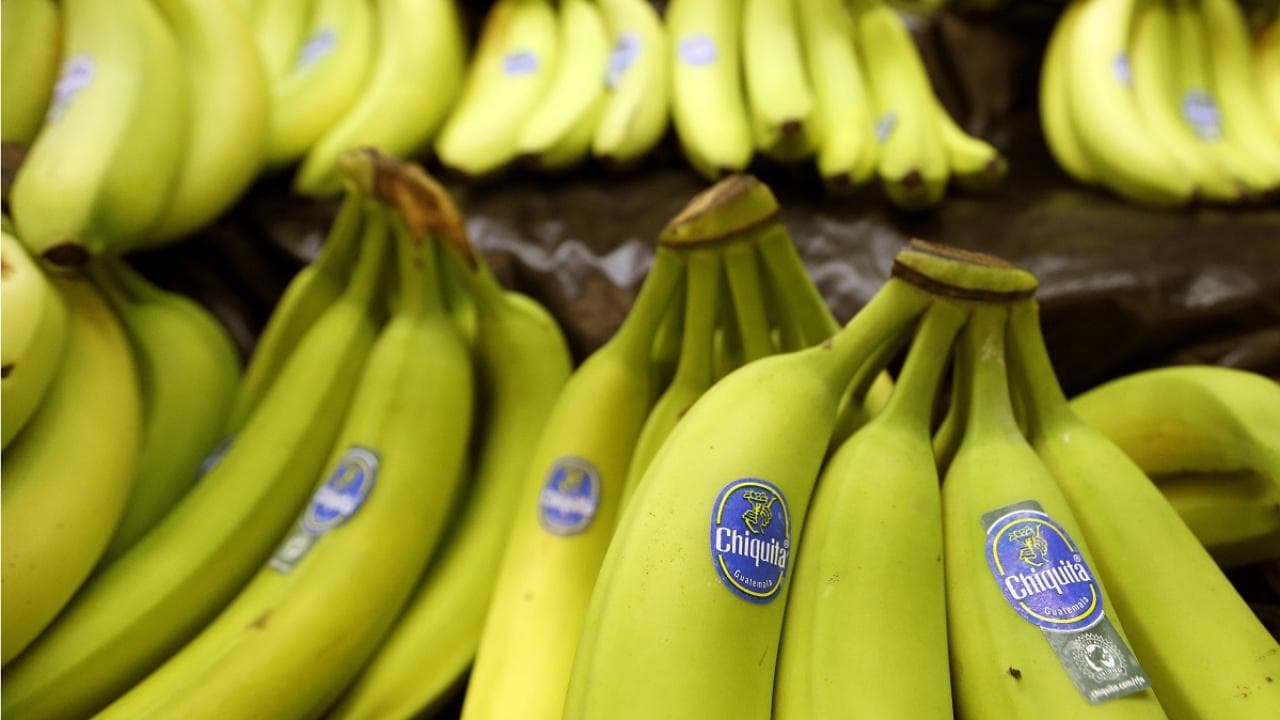 Chiquita, muz fiyatlarının yükselmesini bekliyor
