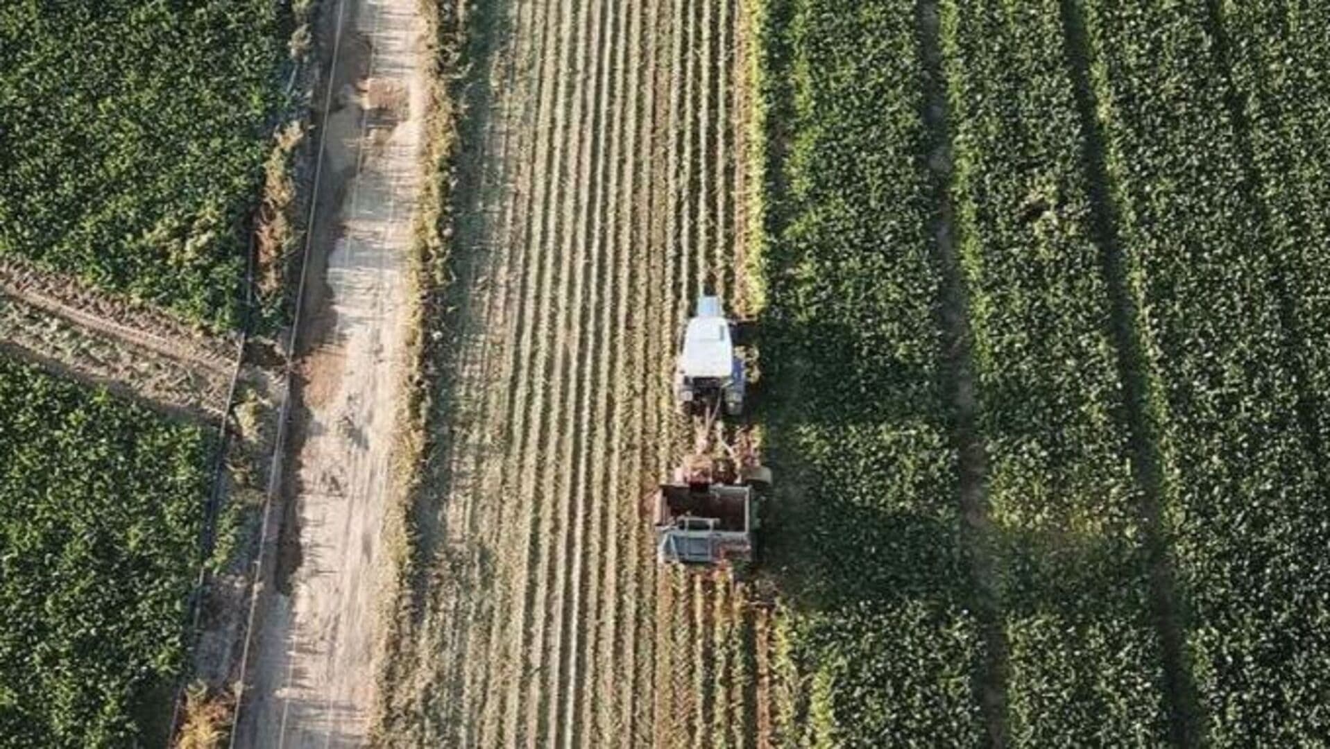 Bakan Yumaklı, kırsal kalkınma projelerine 12,5 milyar lira hibe açıkladı