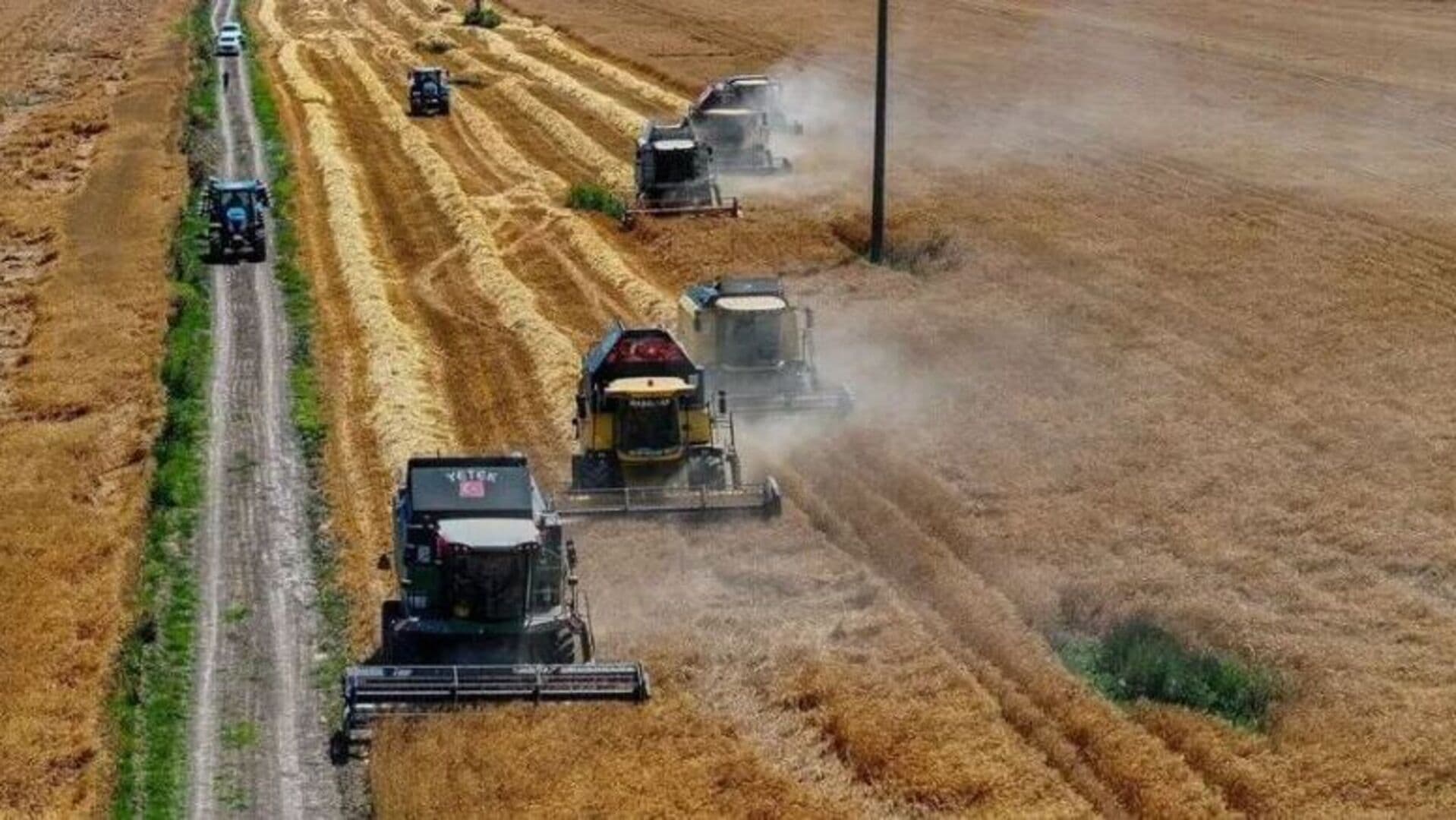 TİGEM 2 bin 116 ton mahsul buğday satacak