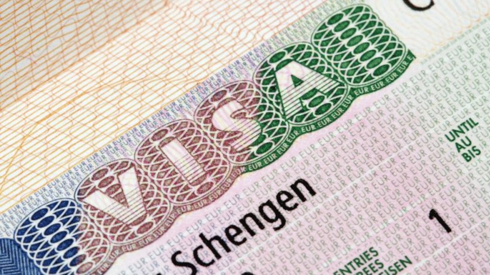 VFS Global'den 'randevu dolandırıcılığı' uyarısı