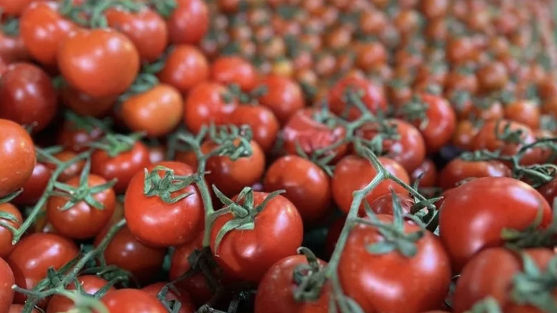 TZOB açıkladı: Ekim ayında marketlerin zam şampiyonu belli oldu