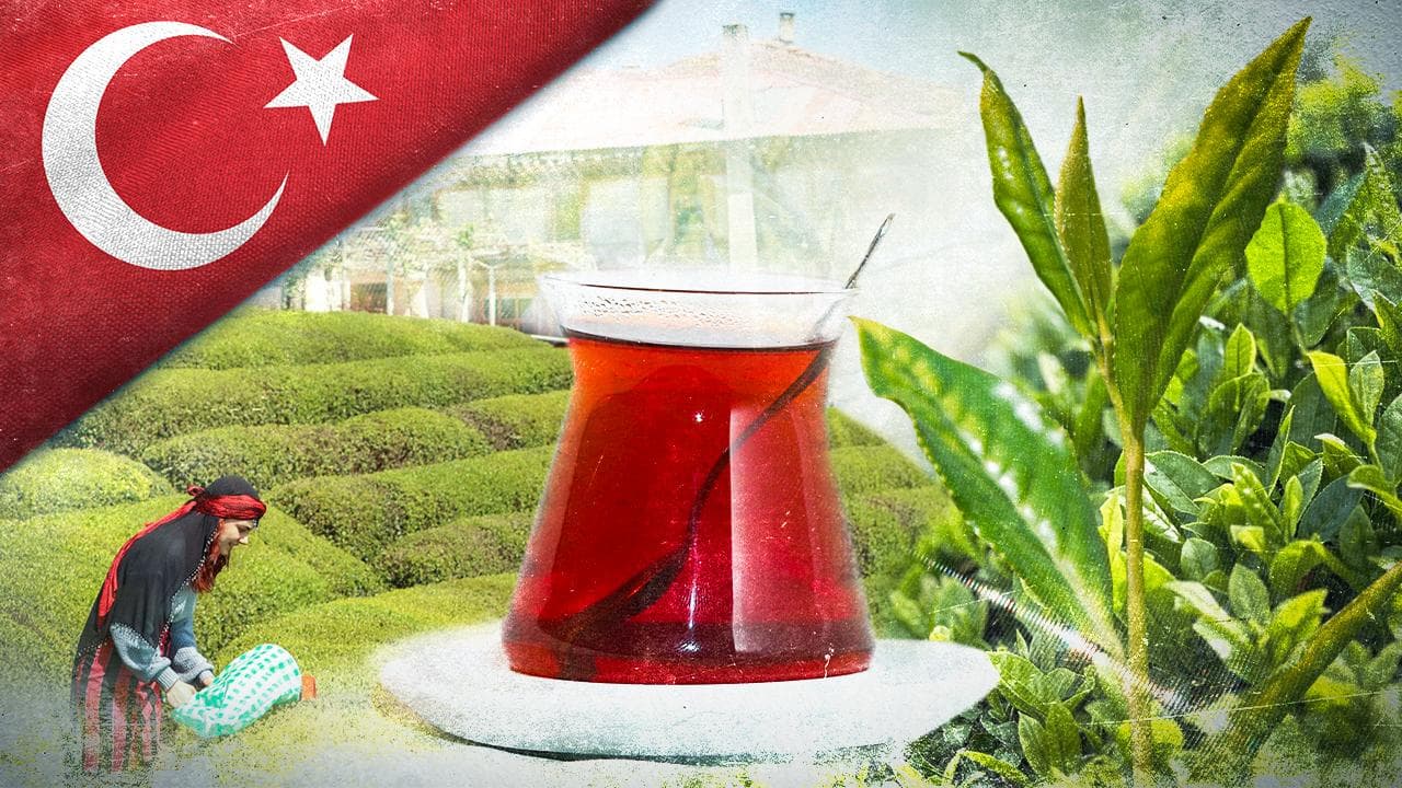 Türk çayı 9 ayda 119 pazara 25 milyon dolarlık ihracat yaptı
