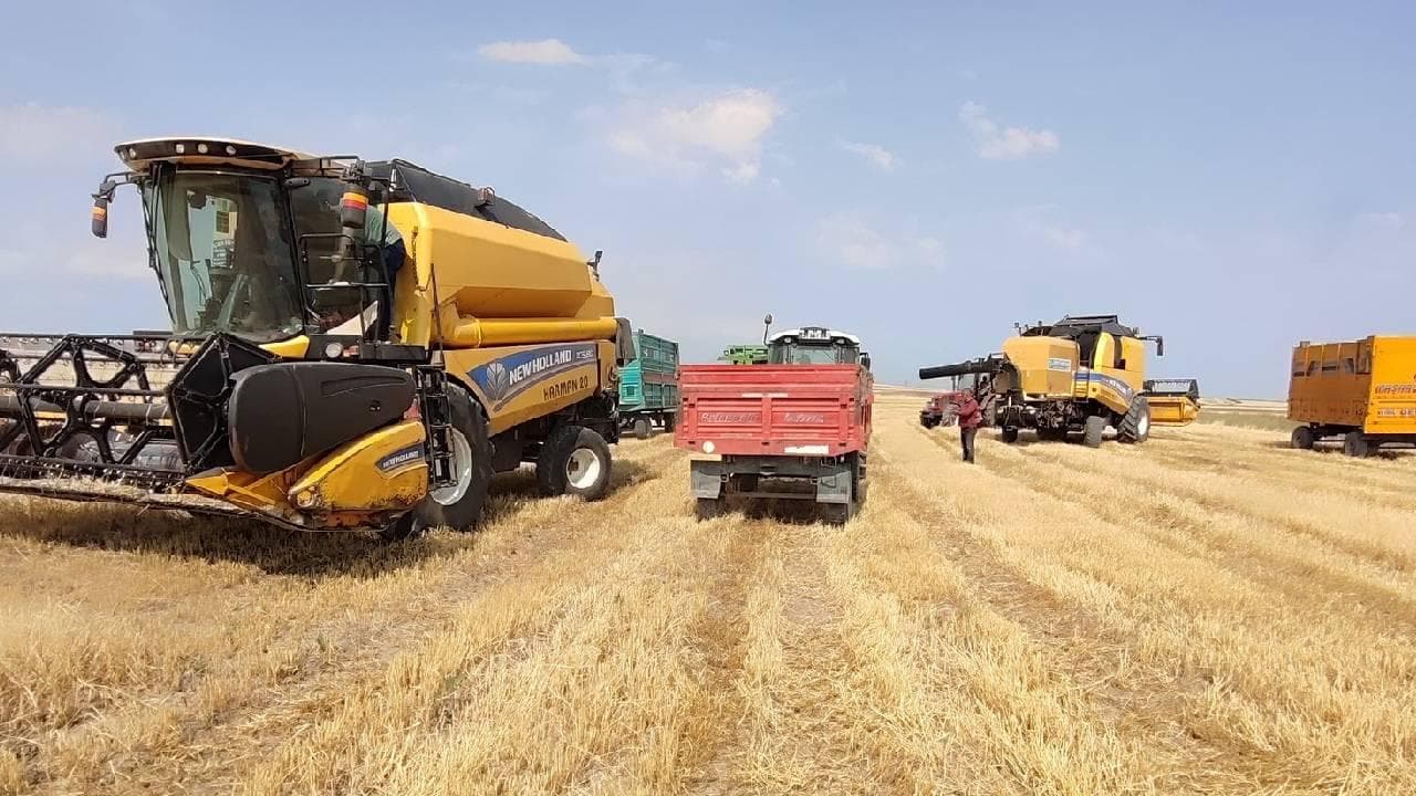 Türkiye’nin tarım ihracatı 9 ayda 27,1 milyar dolarla rekor kırdı