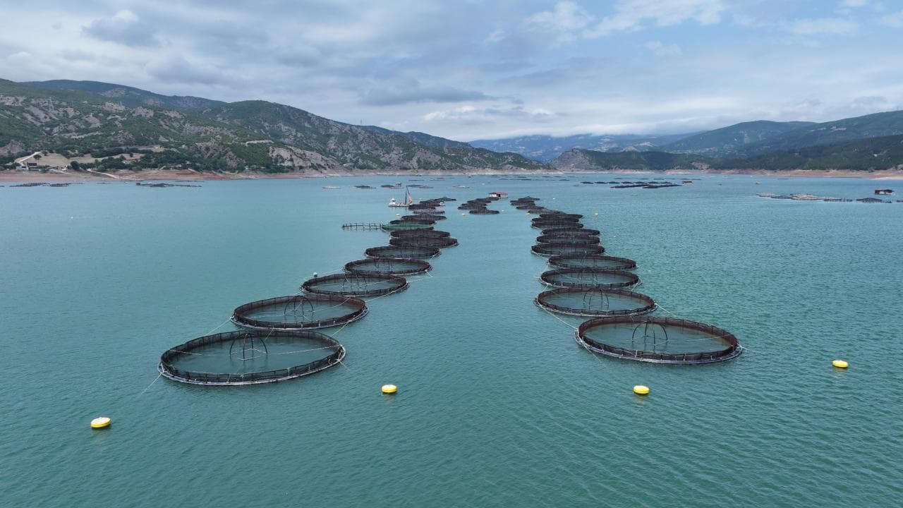 IPARD III kapsamında 95 projeye 1,2 milyar lira hibe sağlanacak