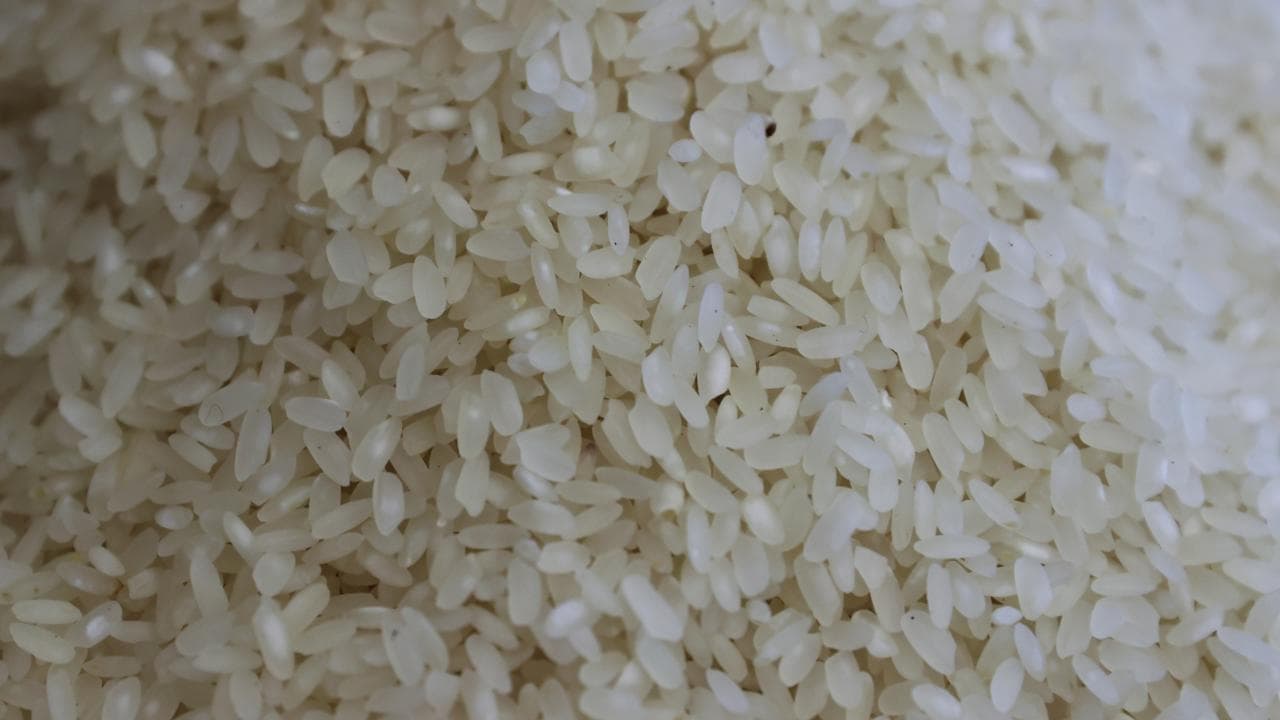 Pirinç ve çeltik ithalatında gözetim uygulaması başlatıldı
