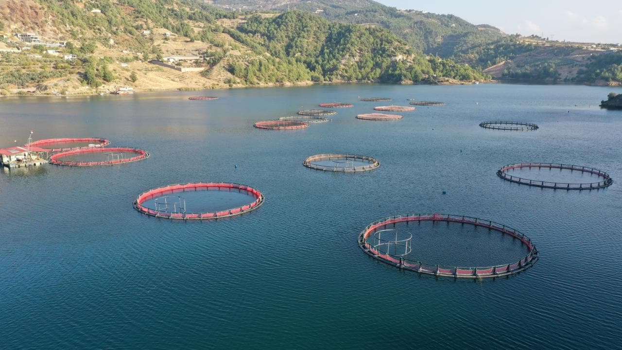 Su ürünleri ihracatı 9 ayda yüzde 16,5 artarak 1,8 milyar dolara çıktı
